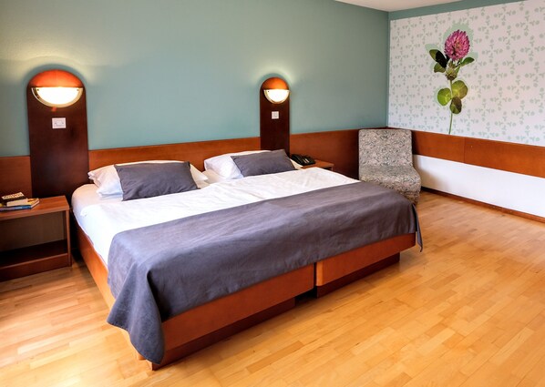 Habitación básica doble | Caja fuerte, escritorio, espacio para trabajar con un portátil