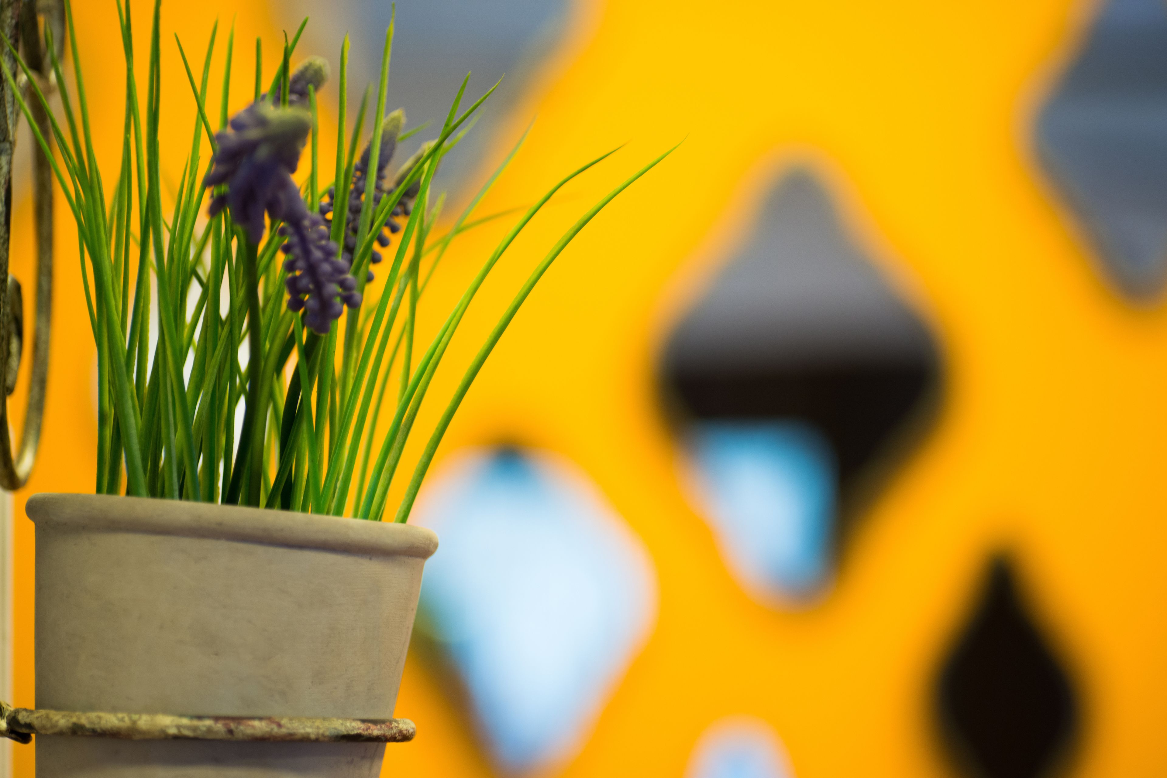 Foto - Sun City Hotel