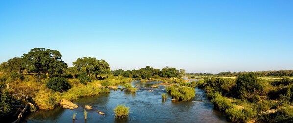 Un río serpenteando por un paisaje natural con árboles y vegetación a ambos lados.