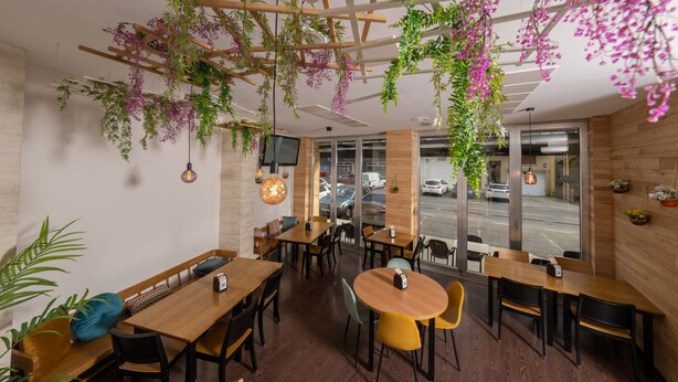 A modern restaurant interior with wooden tables and chairs, hanging plants, and large windows offering a view of the street. - Hotel Oca Insua (Cee)