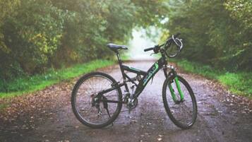 A bicycle parked on a dirt path surrounded by greenery.