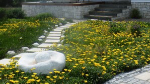 A two-story house with a balcony, stone steps, and a garden with yellow flowers. - 138 Marine Beachfront Guesthouse (Hermanus)