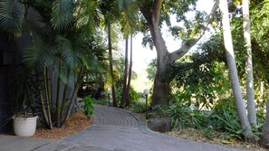 Family Room | View from room