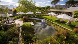 Un jardin aménagé avec un bassin, des chaises longues et des parasols.