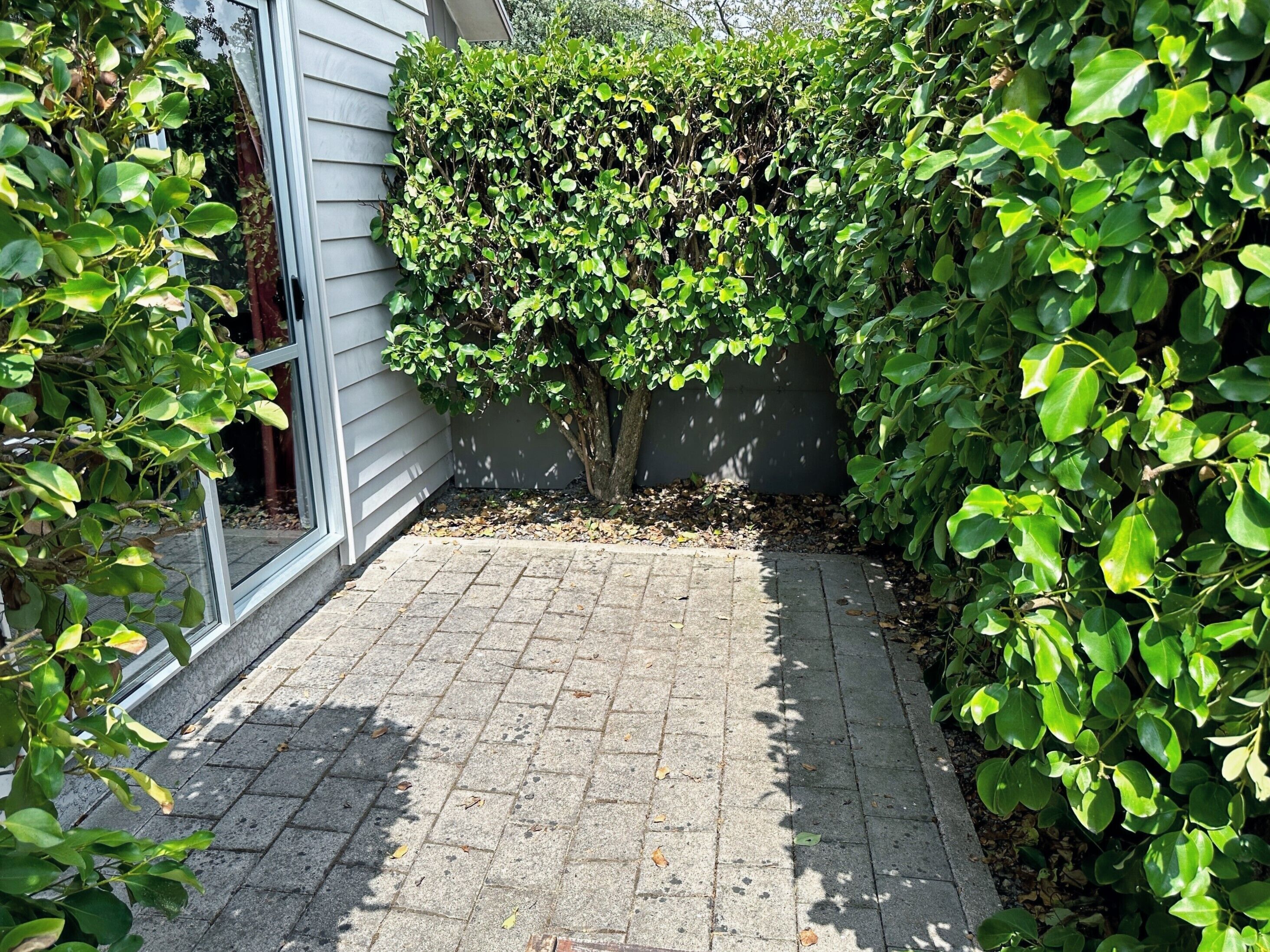 Apartamento familiar, 3 habitaciones, cocina (Shower) | Terraza o patio