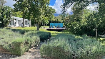 Vista al jardín