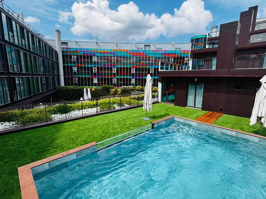 Outdoor pool, pool umbrellas, pool loungers