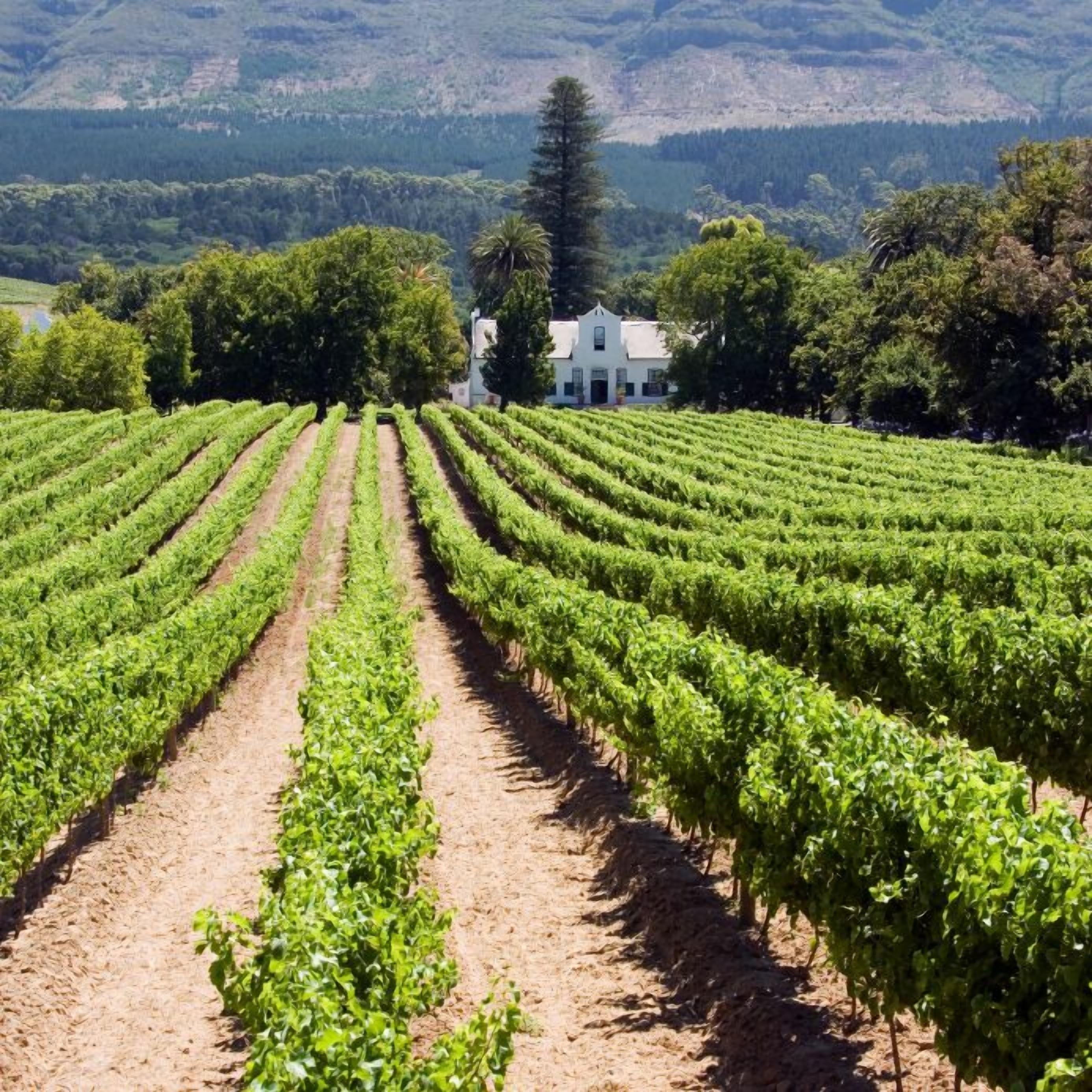 Foto - Glen Avon Lodge Boutique Hotel