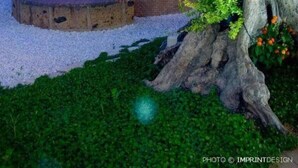 A garden with a fountain, a tree, and a brick wall. - Residenza Glave - Albergo Diffuso (Campomarino)