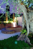 Jardim