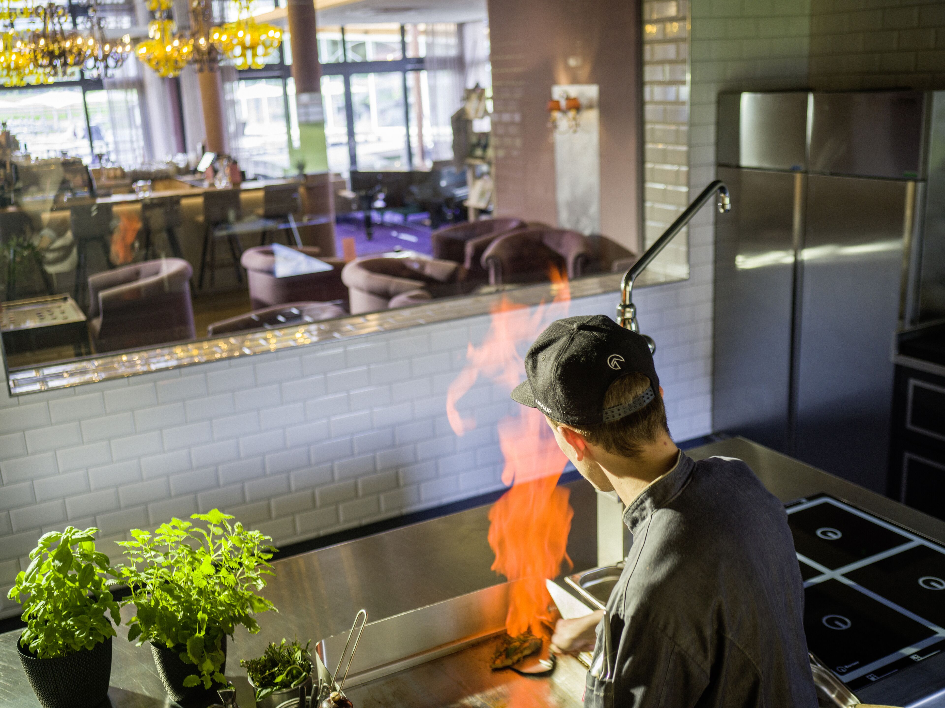 Una cocina con estufa moderna, chimenea y plantas en macetas.