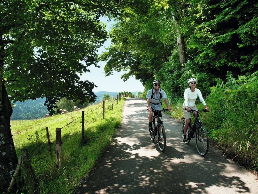 Deux personnes font du vélo sur un chemin bordé d’arbres, avec une zone herbeuse et une clôture d’un côté.