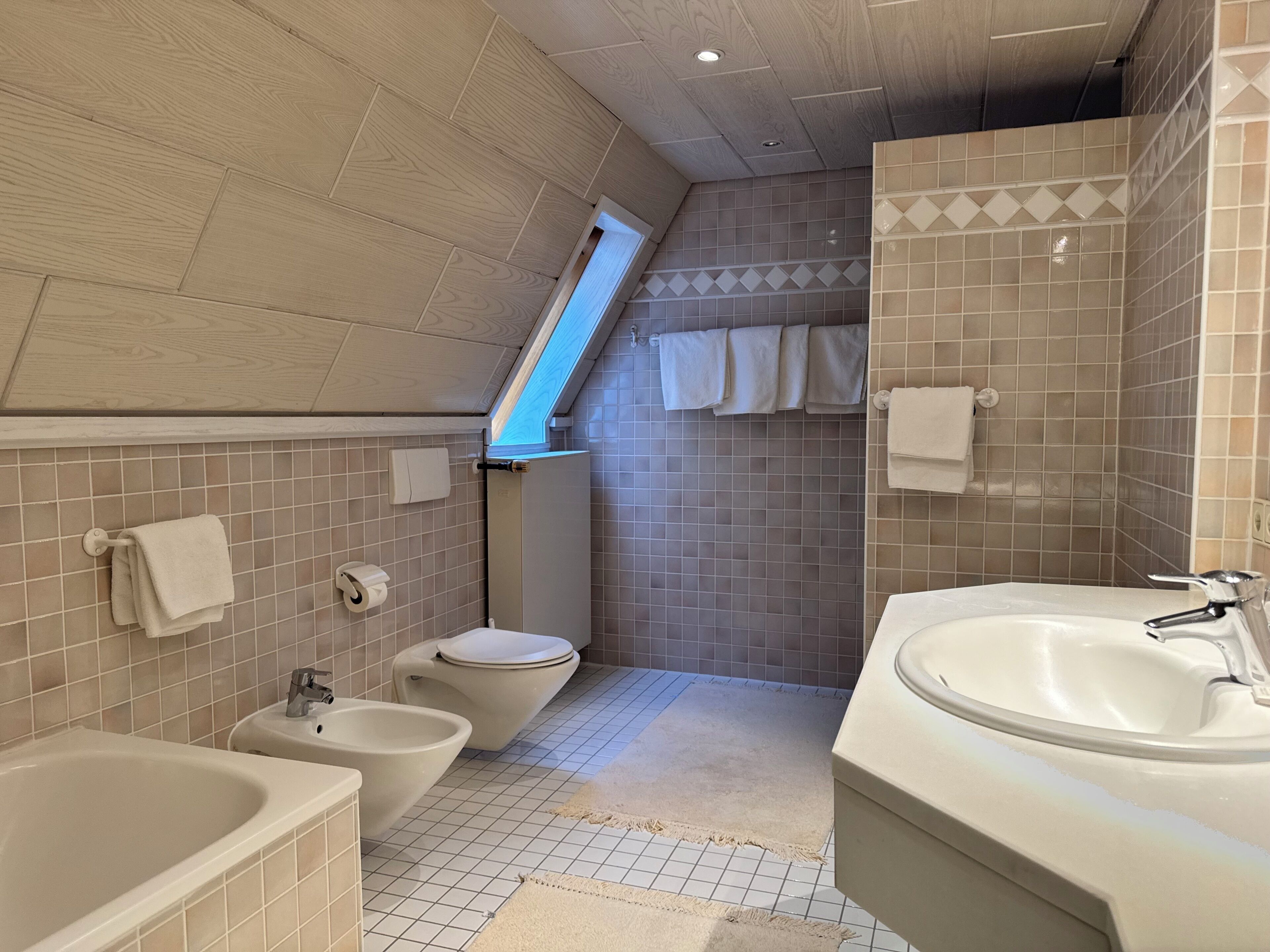 A modern bathroom with a skylight, a bidet, a toilet, and a large sink.