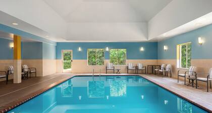 Holiday Inn Express Hotel & Suites Fredericksburg by IHG