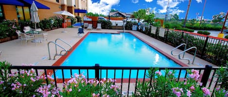 Outdoor pool, sun loungers