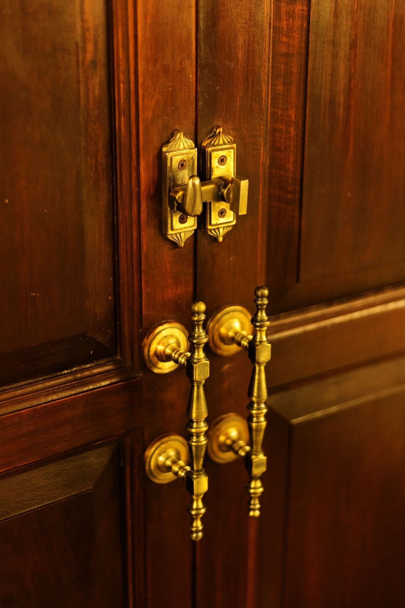 A wooden door with brass hardware, including a lock and two handles.
