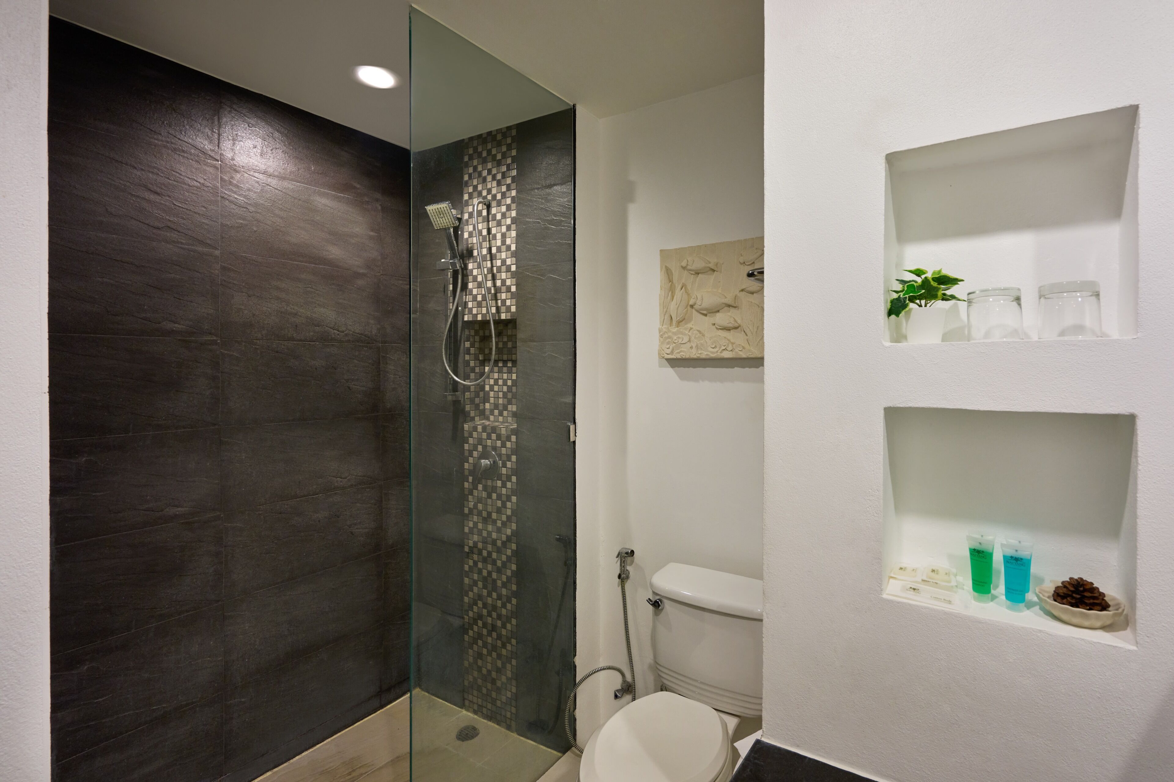 A modern bathroom with a glass-enclosed shower, a toilet, and shelves with toiletries.