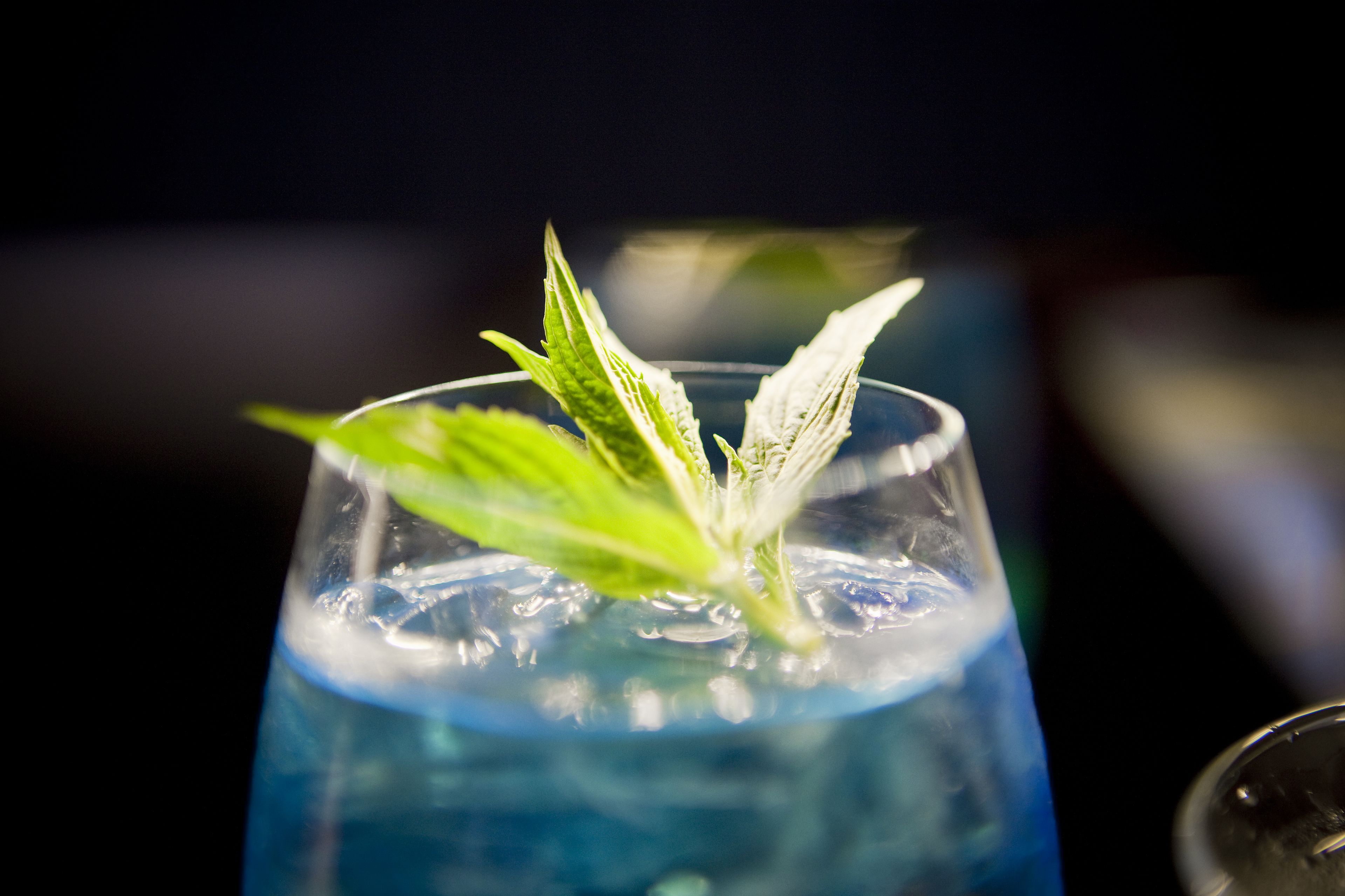 Primer plano de un vaso con líquido azul y hojas de menta.