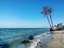 Una playa cerca, arena blanca, sillas reclinables de playa, sombrillas