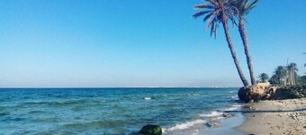 Aylimas - Families Only