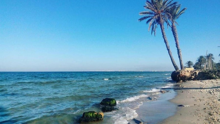 Aylimas - Families Only