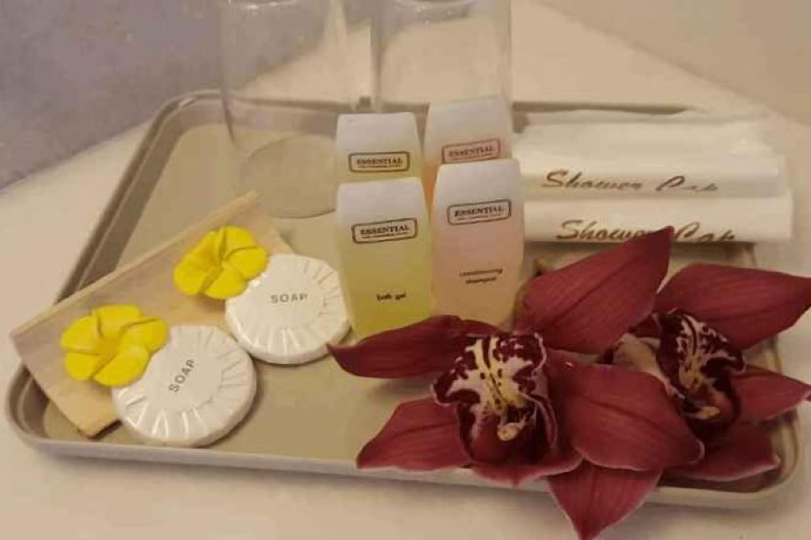 Comodidades do banheiro | Chuveiro, chuveiro com efeito de chuva, produtos de toalete grátis 