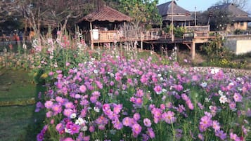 Suite Bulan Madu | Pemandangan taman