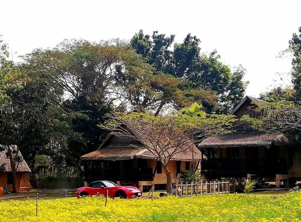View from room - Phu Pai Art Resort (Pai)