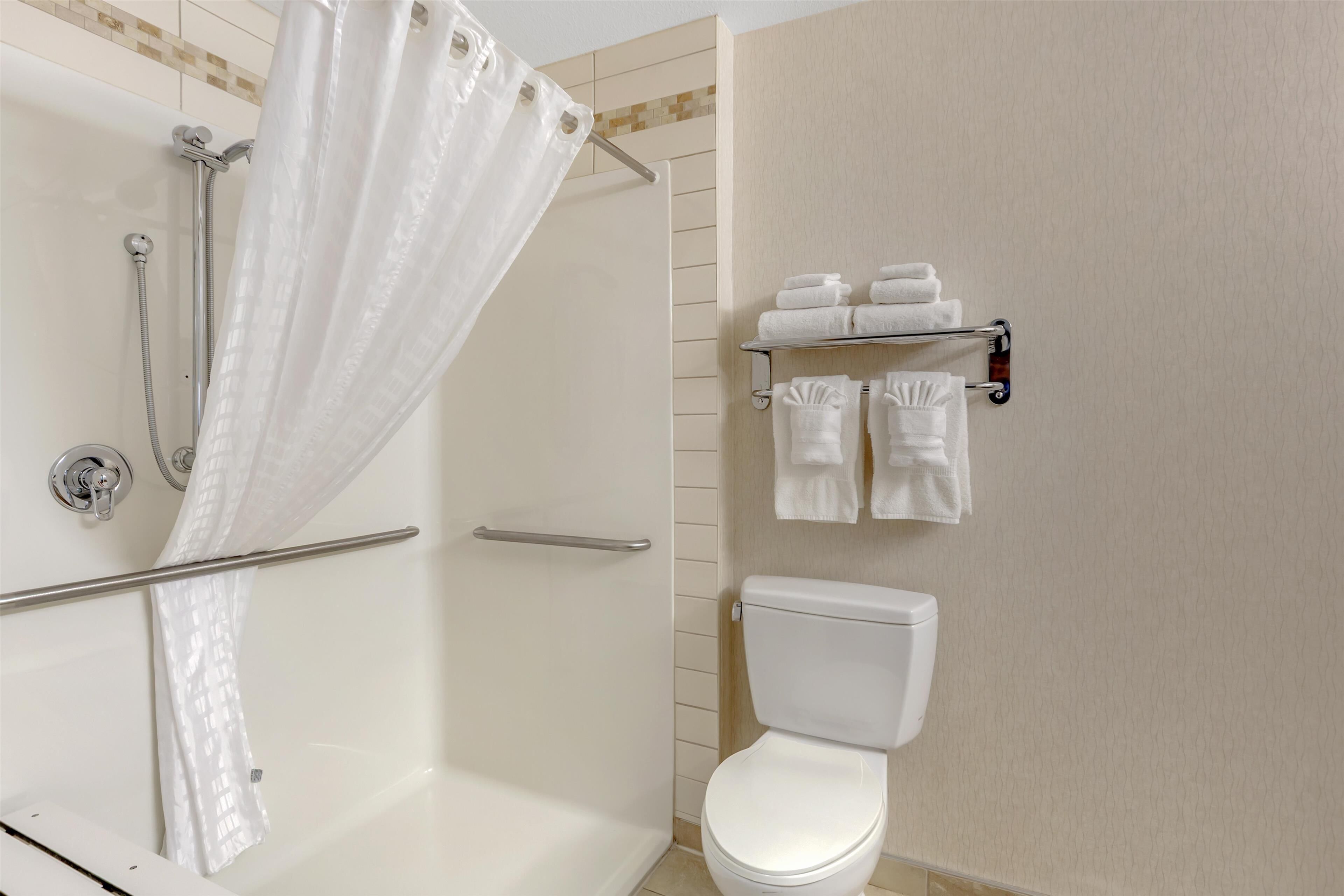 standard room, 1 king bed, accessible, refrigerator & microwave | bathroom | free toiletries, hair dryer, towels