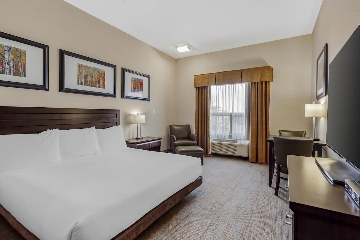 Standard Room, 1 King Bed, Accessible, Refrigerator & Microwave