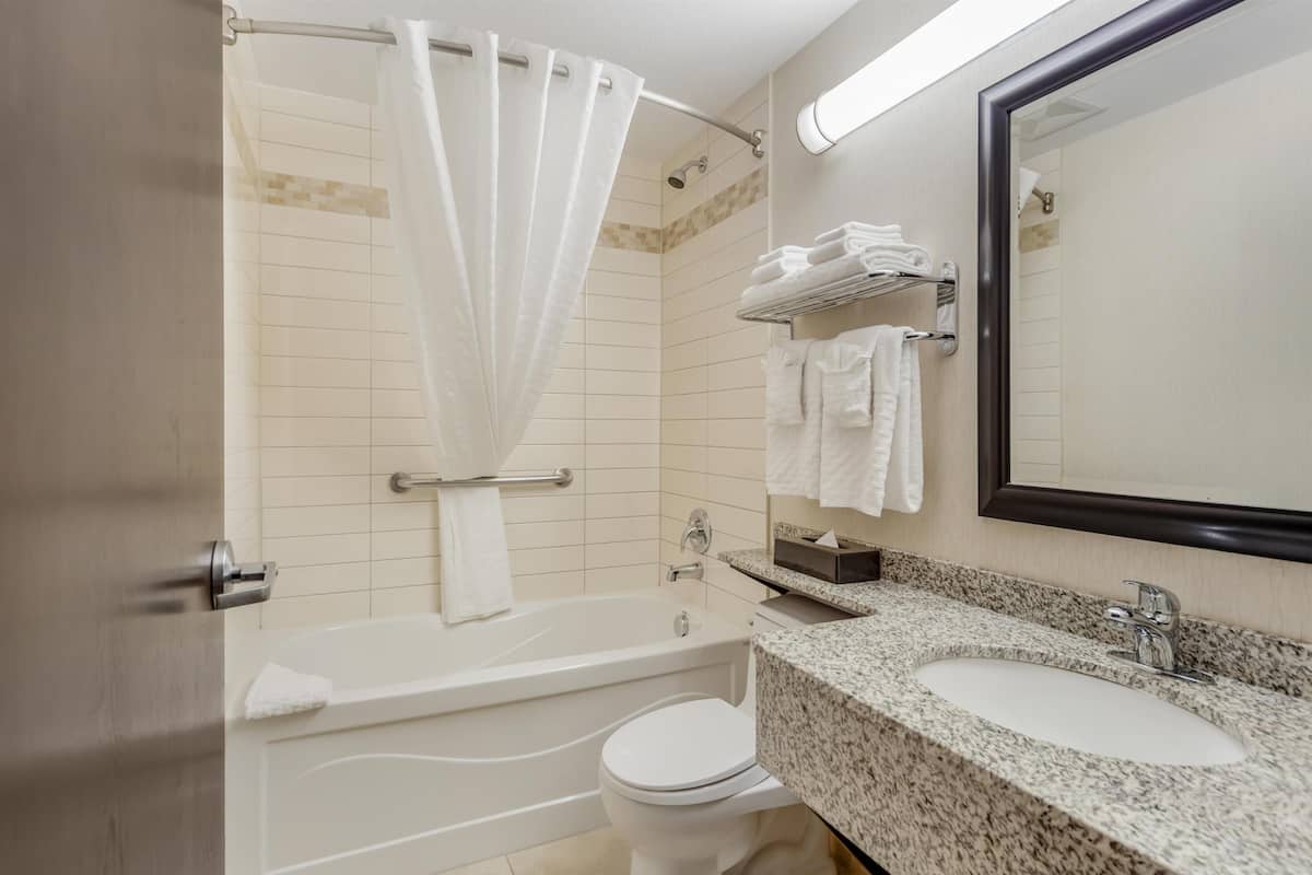 suite, 1 queen bed, non smoking, refrigerator & microwave (shower only;with sofabed) | bathroom | free toiletries, hair dryer, towels