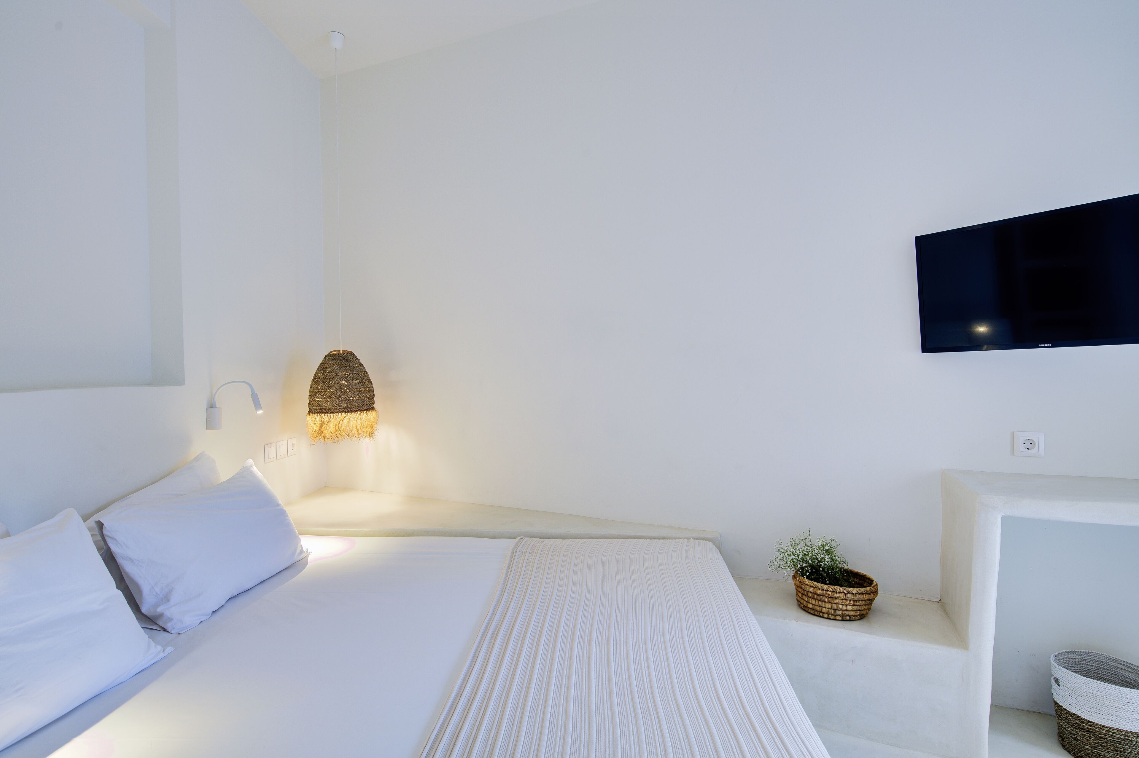 A modern hotel room with a bed, a TV mounted on the wall, a bedside lamp, and a small plant.