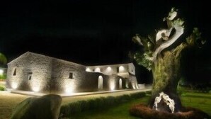A stone building with a central courtyard and a tree with a unique trunk design. - Torre Dantona (Modica)