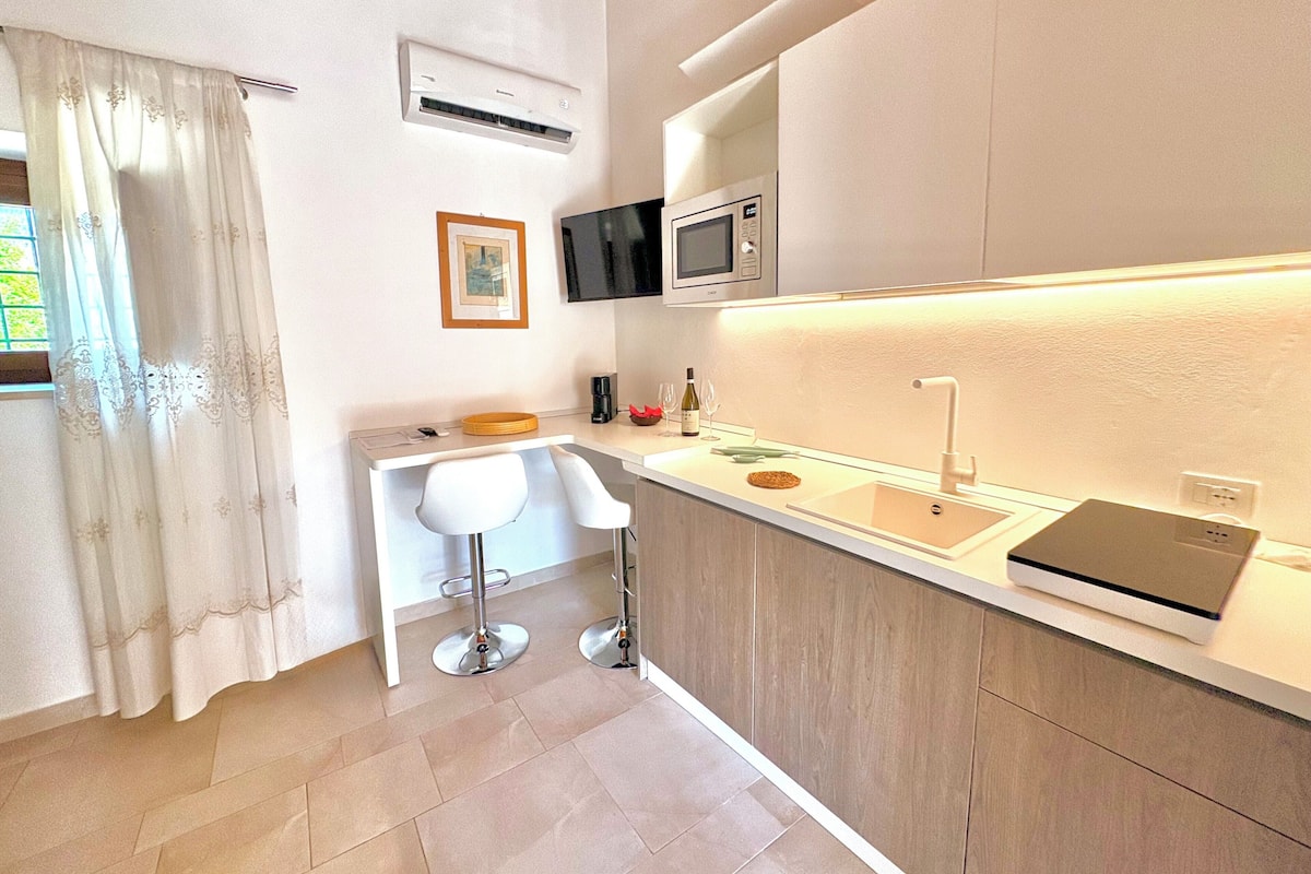 Standard Studio Suite