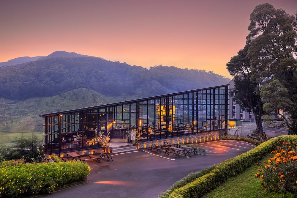 The Golden Ridge Hotel
