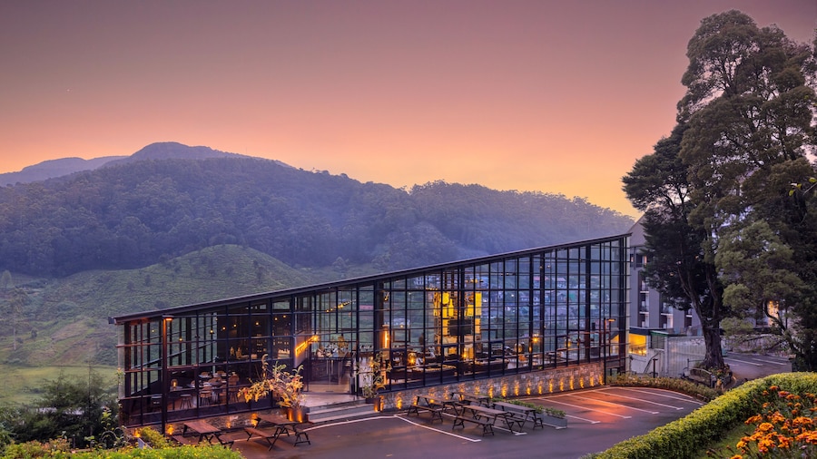 The Golden Ridge Hotel