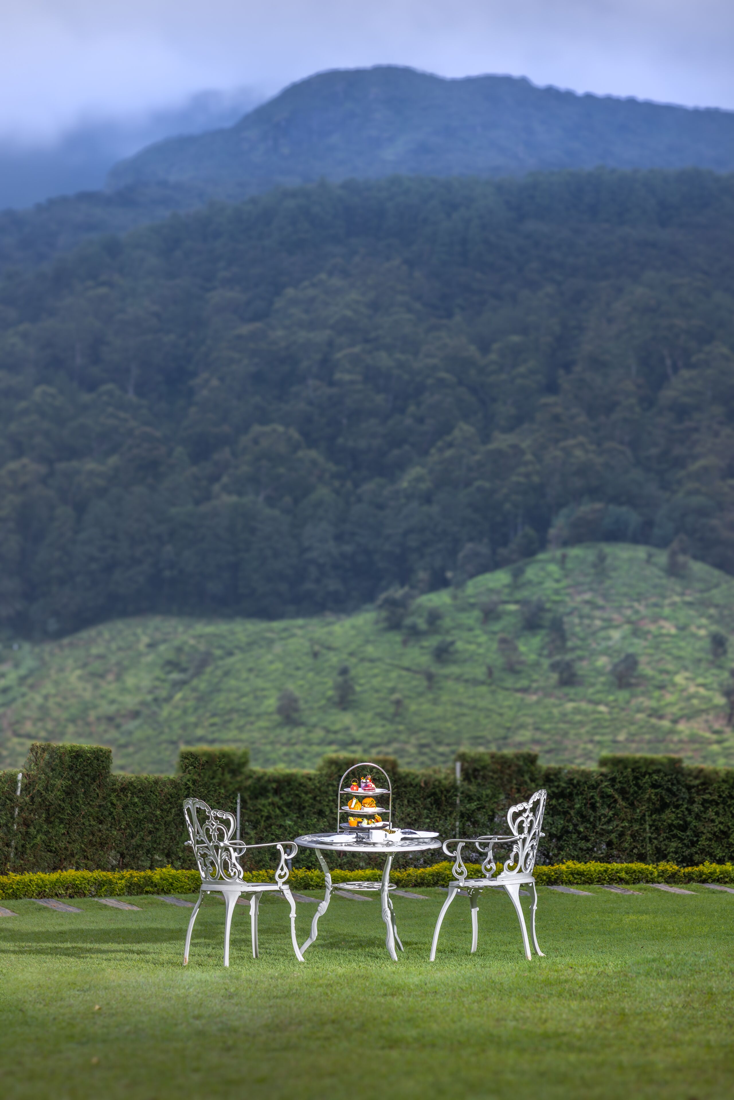 A table and two chairs in a grassy area with a view of a forested hill in the background.