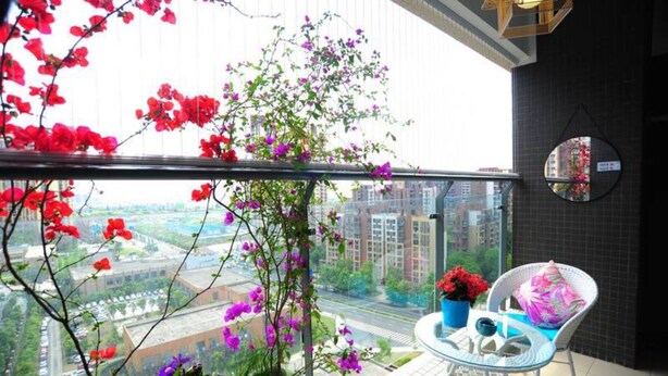 A balcony with a view of a cityscape, a potted plant, and a chair. - Chengdu Charm City Hotel (Chengdu)