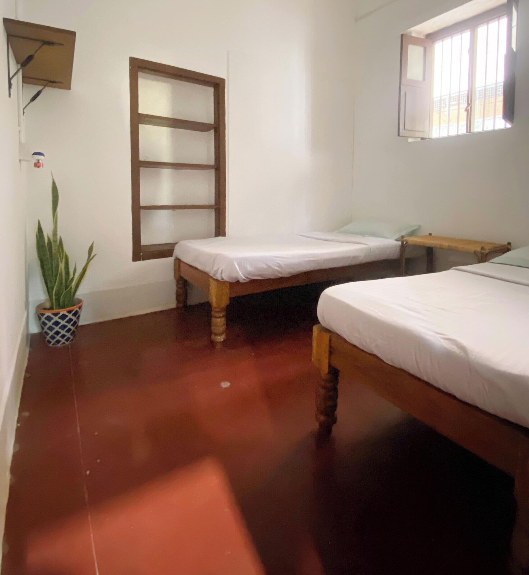 Una habitación con dos camas de madera, una planta en maceta y una ventana con barrotes.