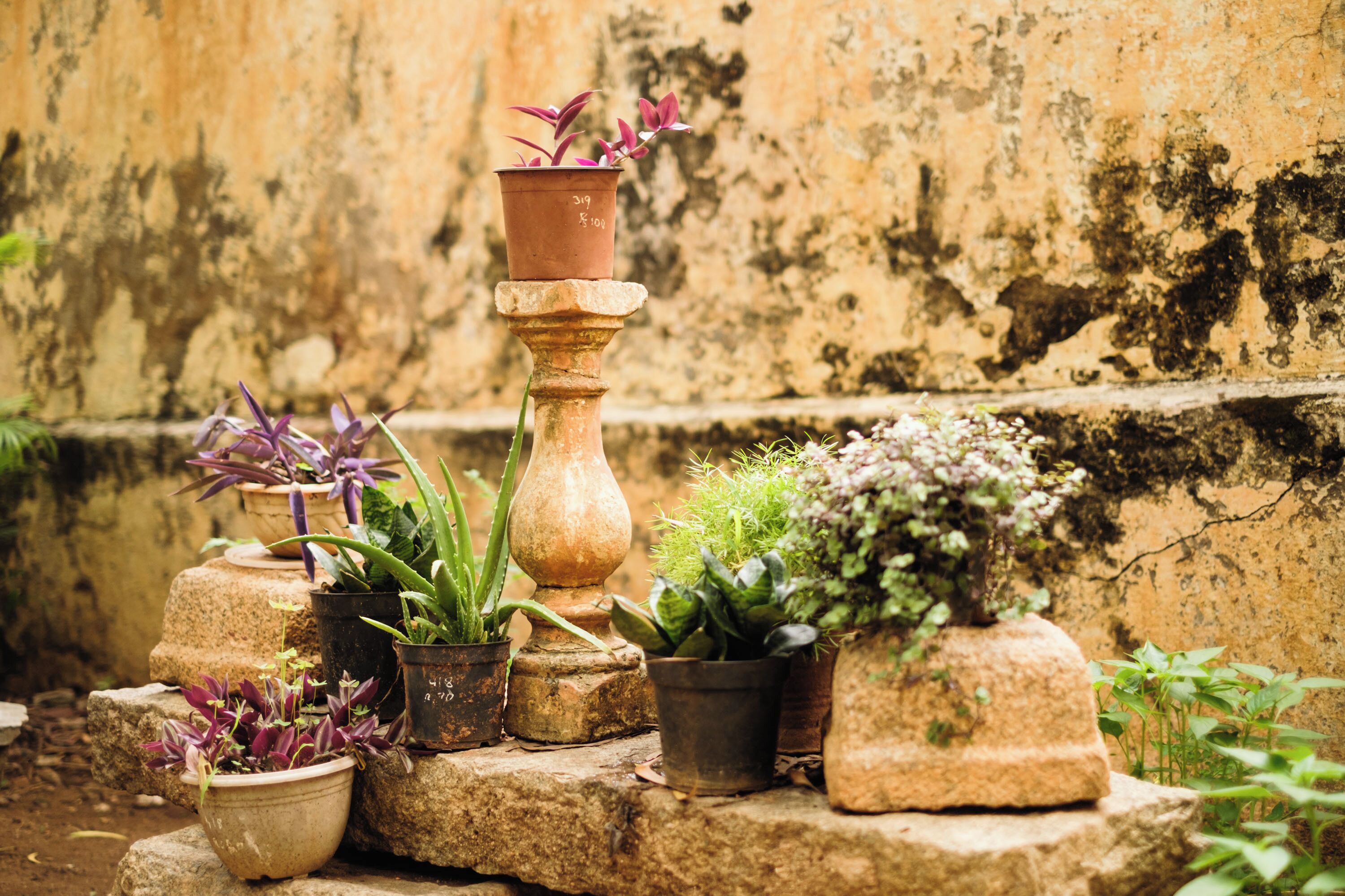 Traditional Villa | Terrace/patio