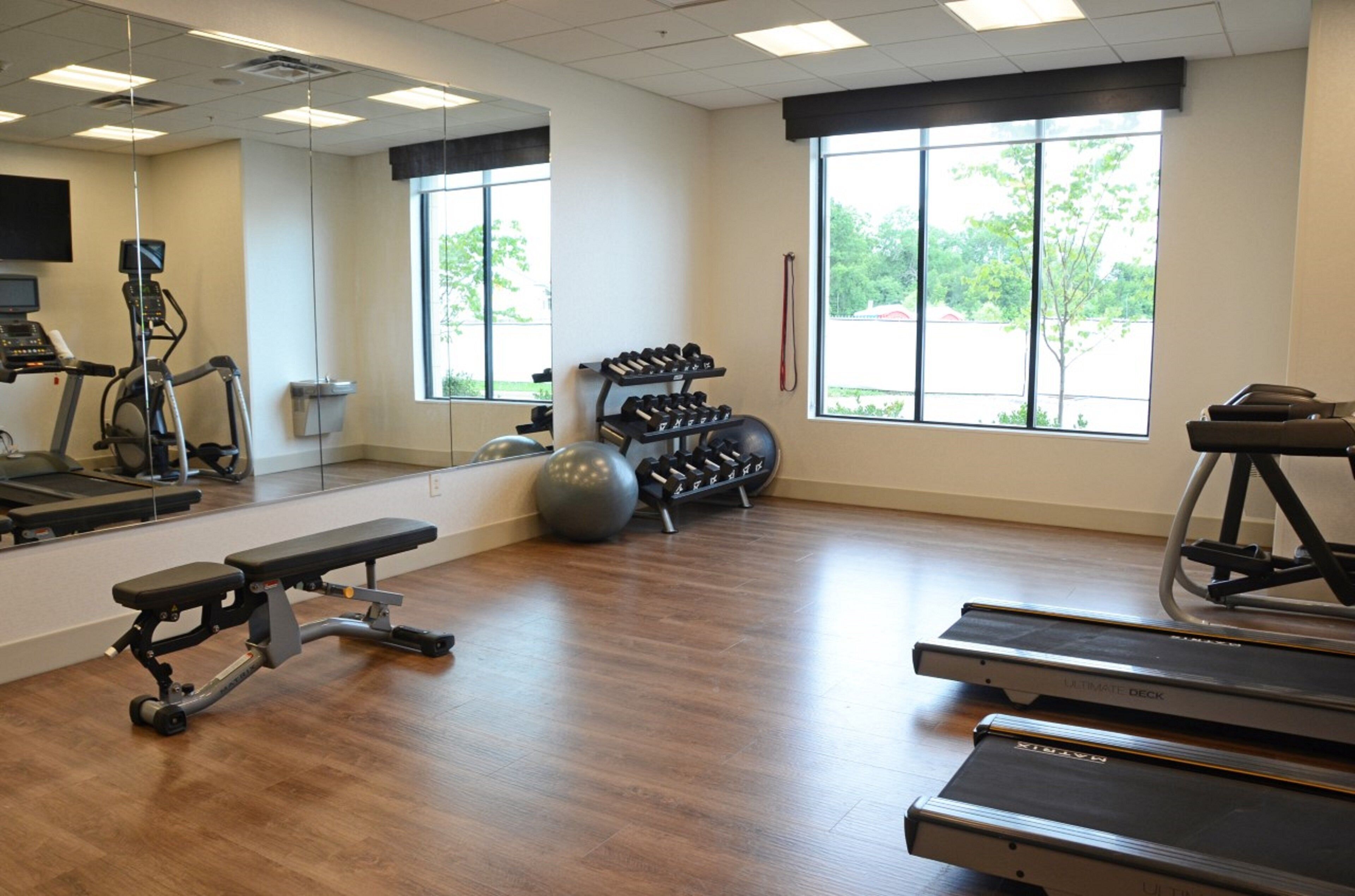 A gym with treadmills, a bench, dumbbells, a medicine ball, and a stationary bike.