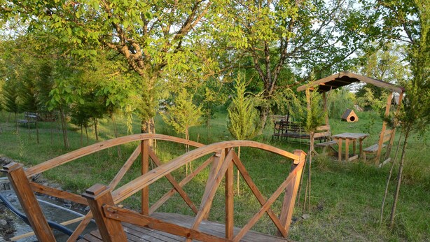 Un puente de madera sobre un arroyo pequeño, rodeado de follaje y árboles.