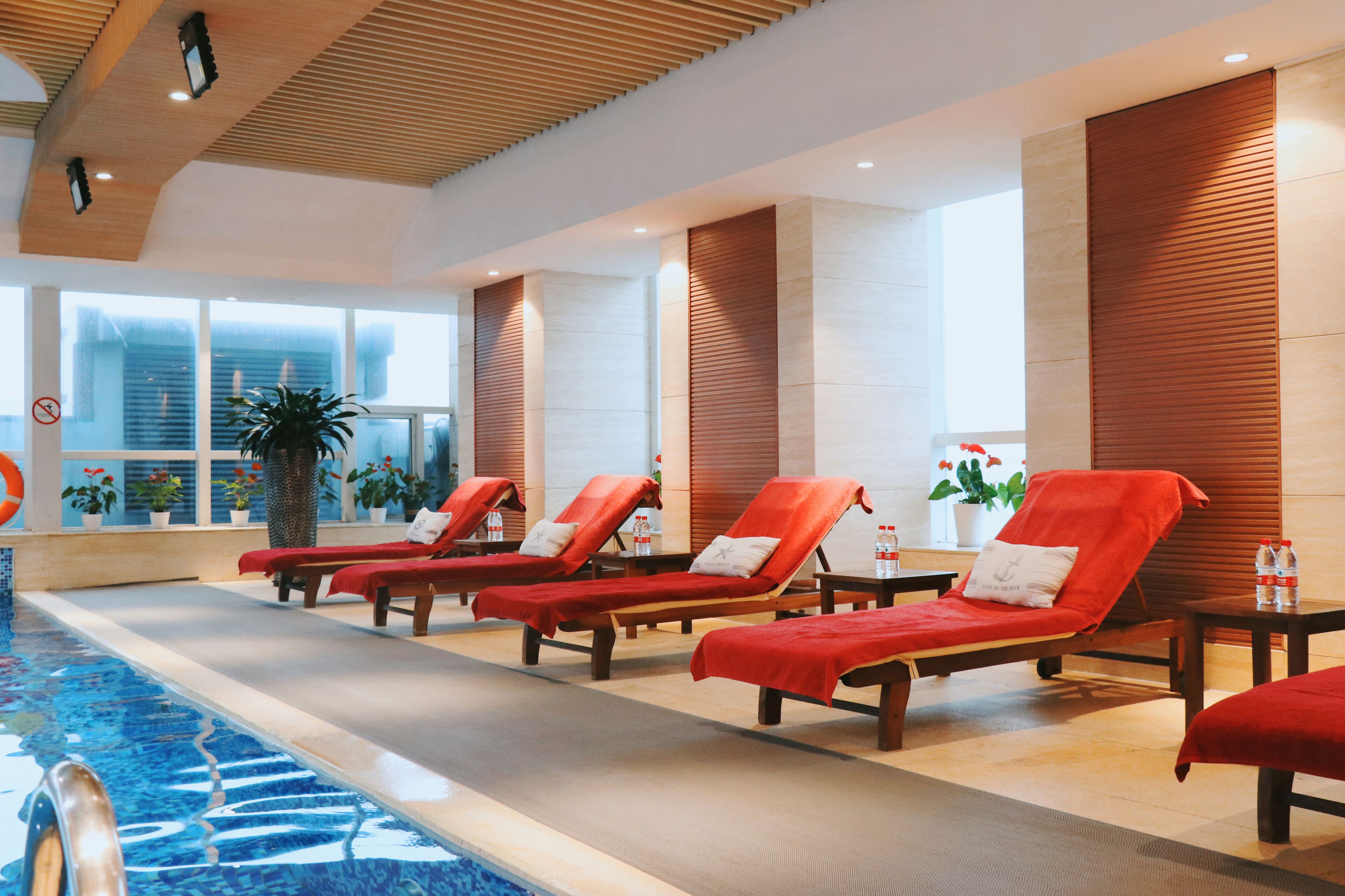 Zona junto a la piscina con varios sillones de sol, una piscina amplia techada y plantas en macetas.