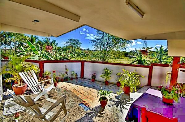 Basic Triple Room, Multiple Beds, Non Smoking | Terrace/patio - Casa Esthercita (Viñales)