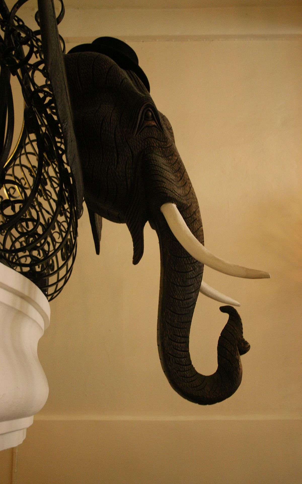 Foto - Born Free Hostel