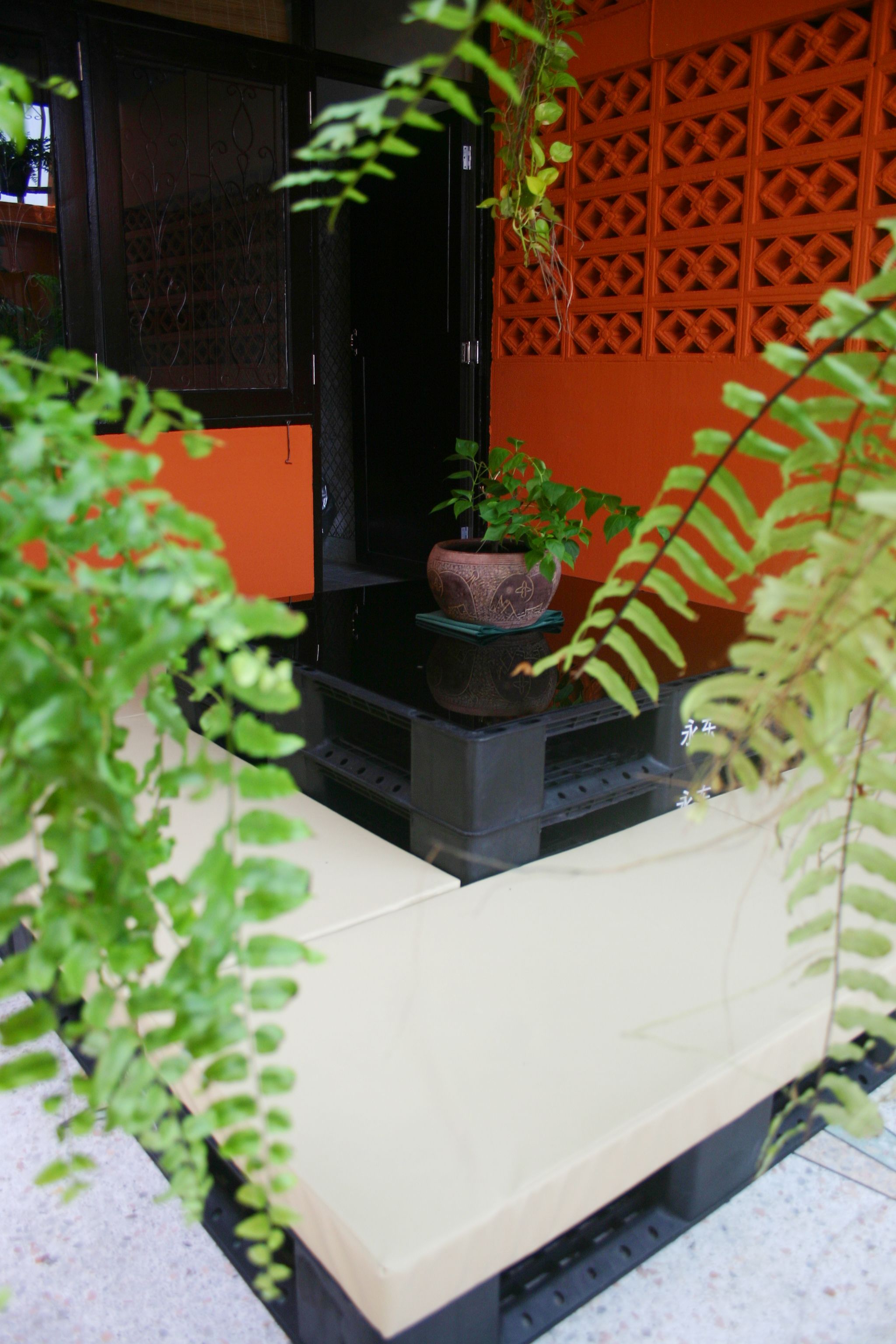 Foto - Born Free Hostel