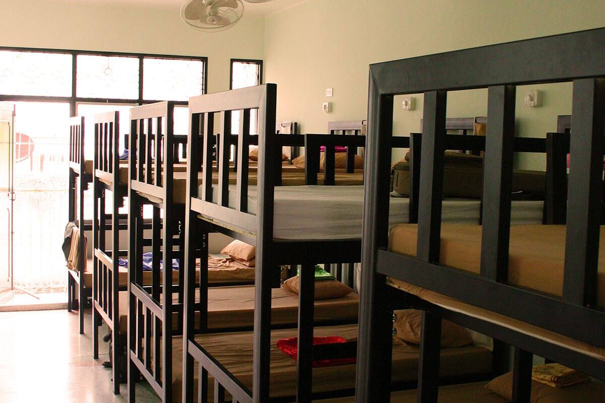 10-Beds Mixed Dormitory with Fan | View from room