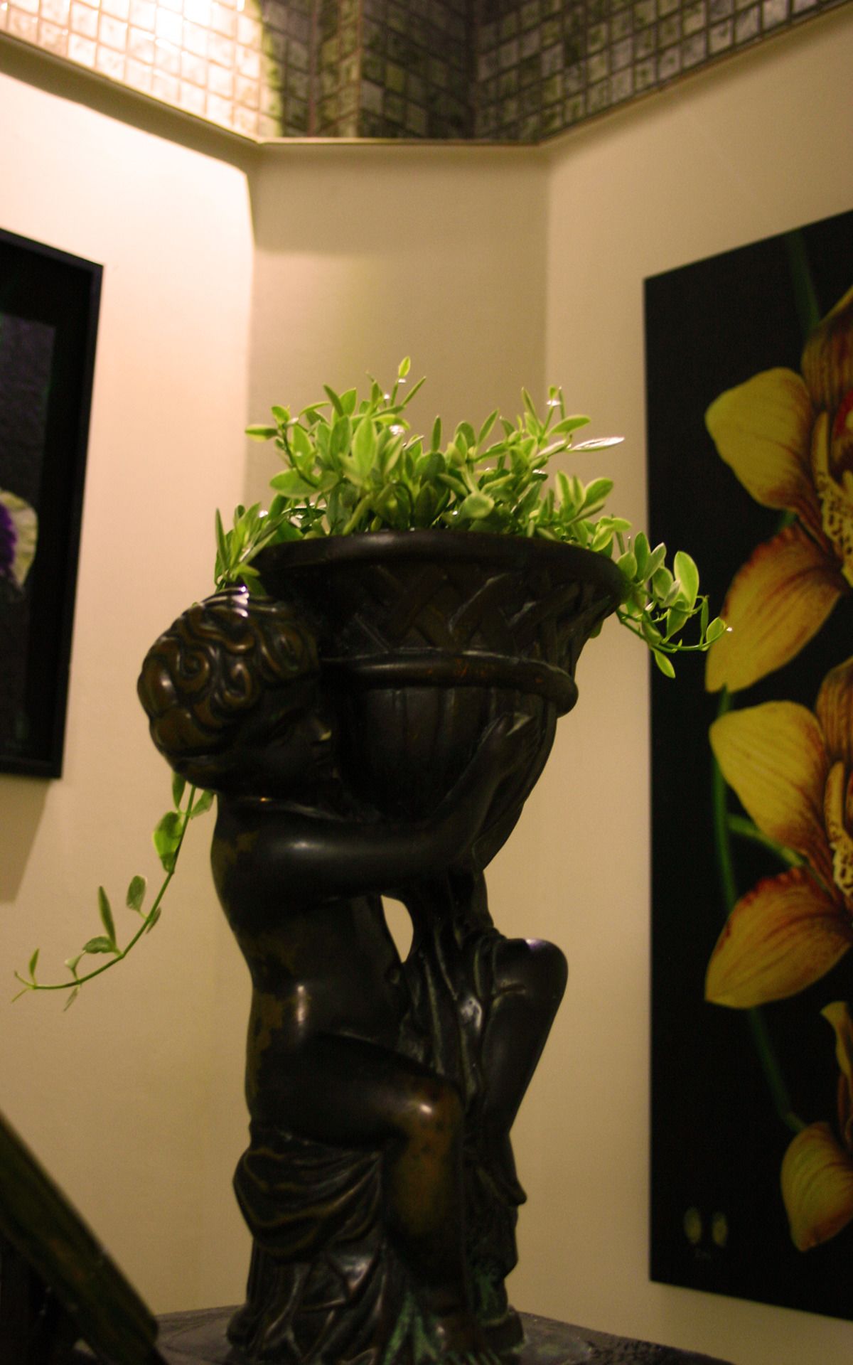 Foto - Born Free Hostel