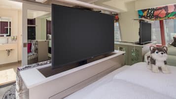 Television