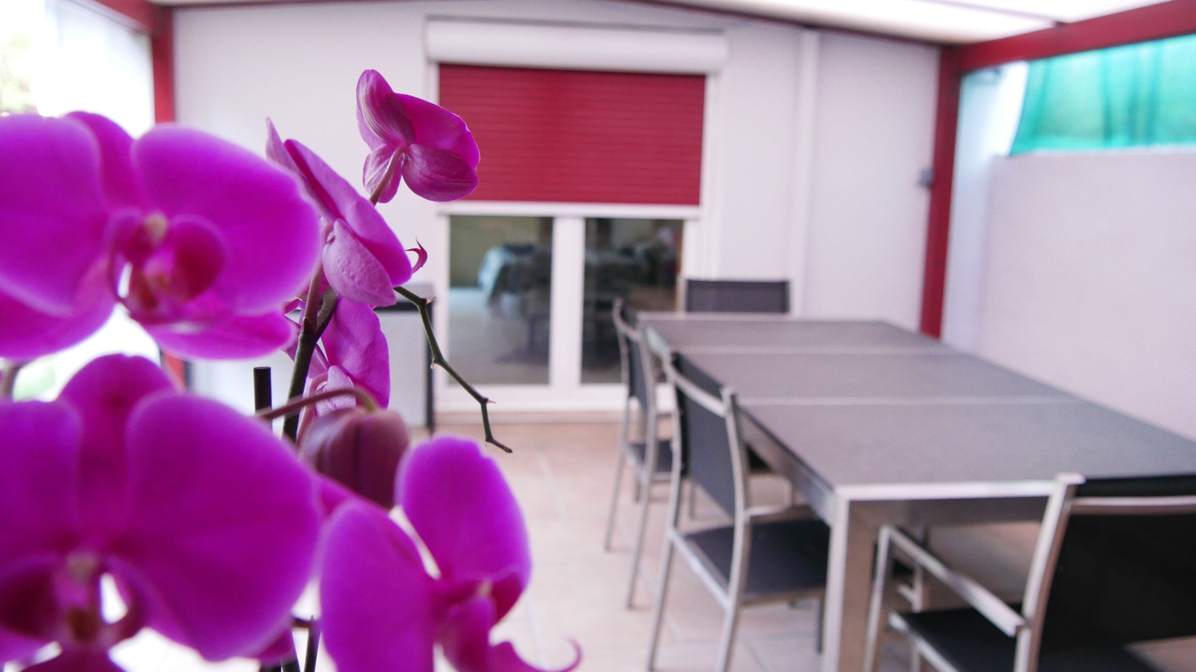 City Double Room | Terrace/patio